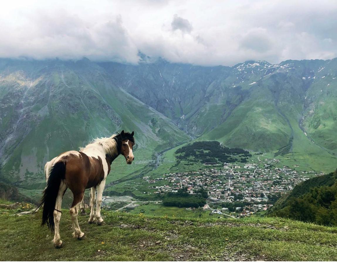 Hotel Mariami à Kazbegi Extérieur photo